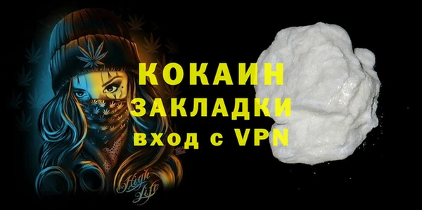 прущие грибы Дмитров