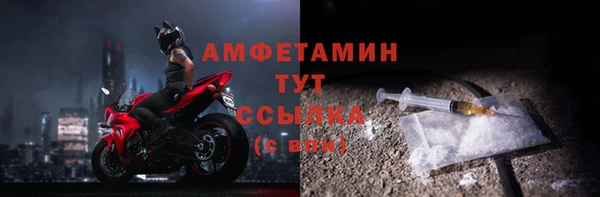 прущие грибы Дмитров