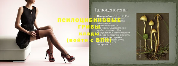 стафф Гусь-Хрустальный