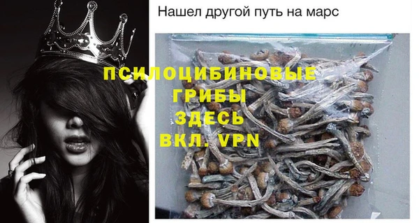 стафф Гусь-Хрустальный