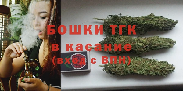 экстази Гусев