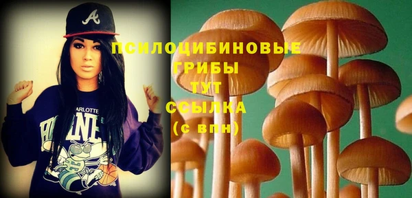 экстази Гусев