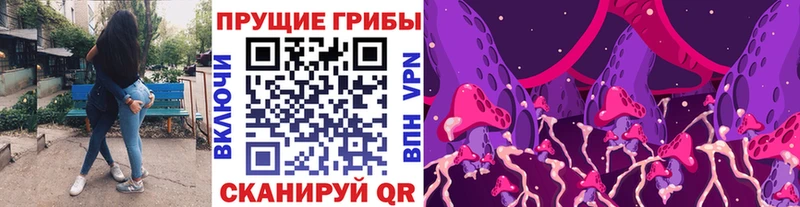 Псилоцибиновые грибы прущие грибы  блэк спрут ссылка  Закаменск 